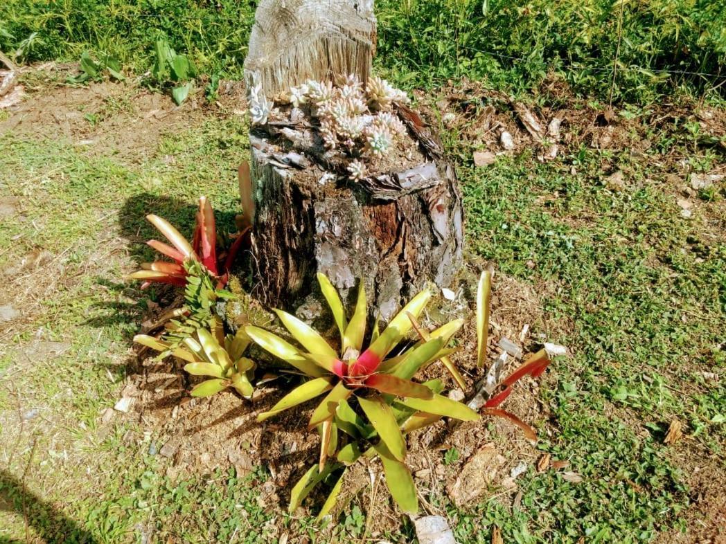 Chalé Vale das Flores - Visconde de Mauá Rj Extérieur photo